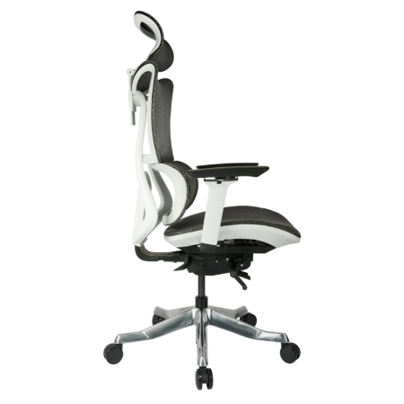 Alba人體工學電腦椅(豪華版)