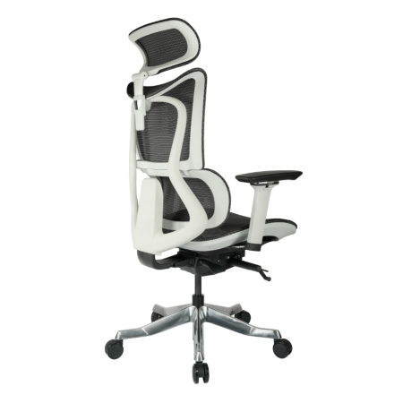 Alba人體工學電腦椅(豪華版)