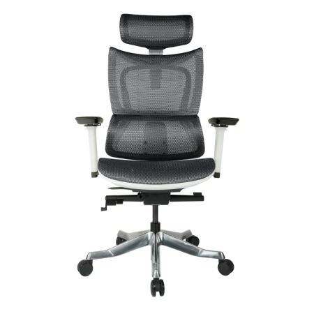 Alba人體工學電腦椅(豪華版)