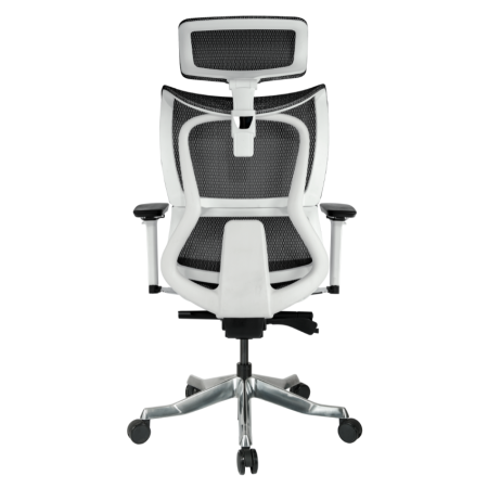 Alba人體工學電腦椅(豪華版)