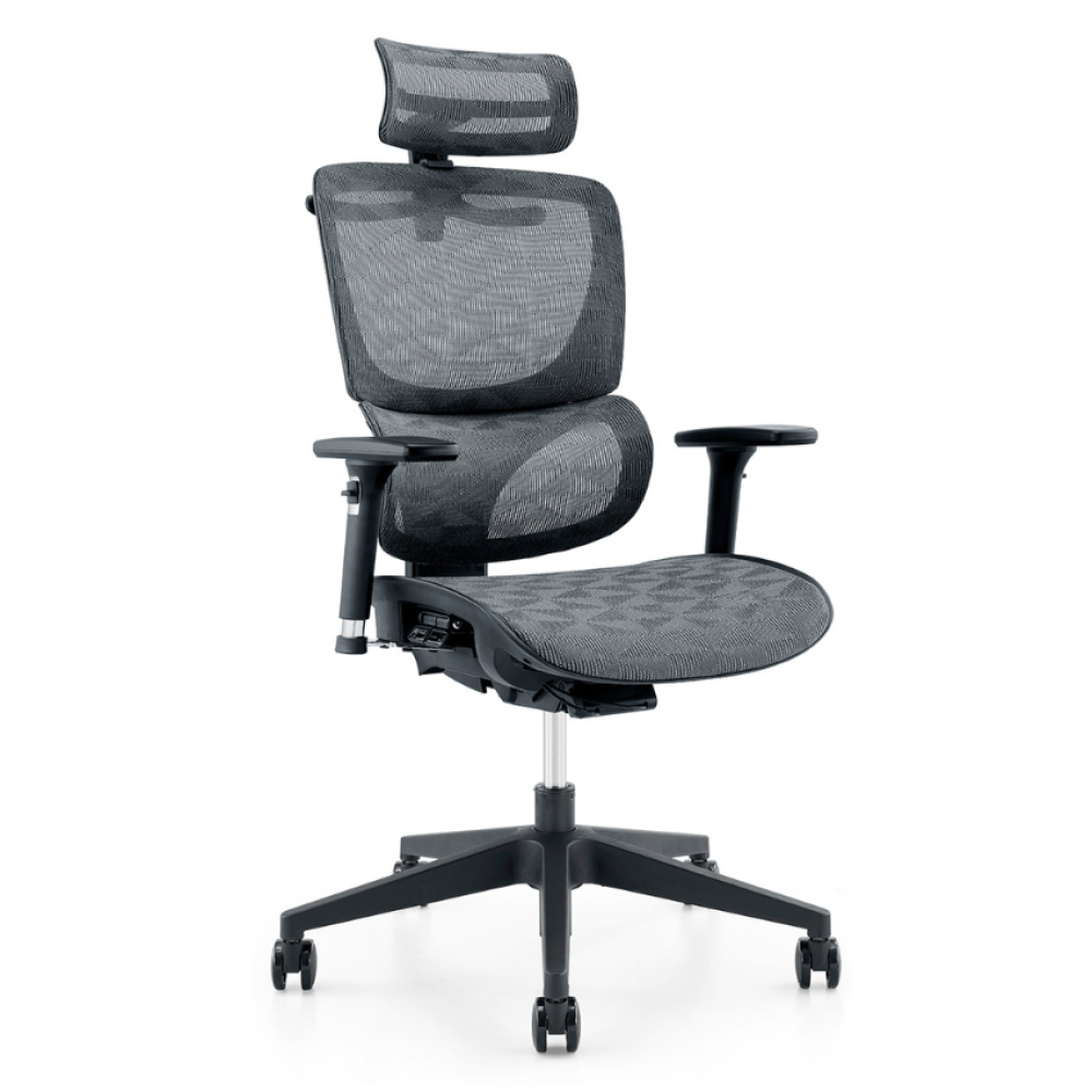 Varon 101 人體工學椅/電腦椅